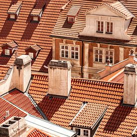 The Prague Roofs by Willem de Jongh