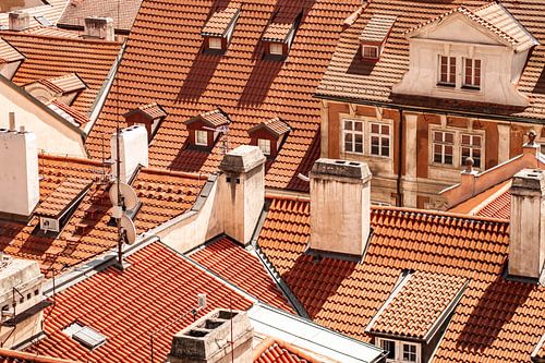 Die Prager Dächer