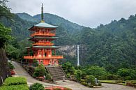 Une belle vue sur la pagode de Seigantoji et la cascade de Nachi no Taki au Japon. par Claudio Duarte Aperçu