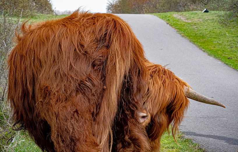 Hide and seek by Truckpowerr