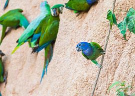 Zeit zum Posen! von Lennart Verheuvel