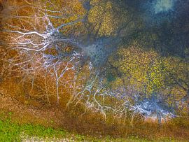 Artworks from the Loire by Alain Gaymard