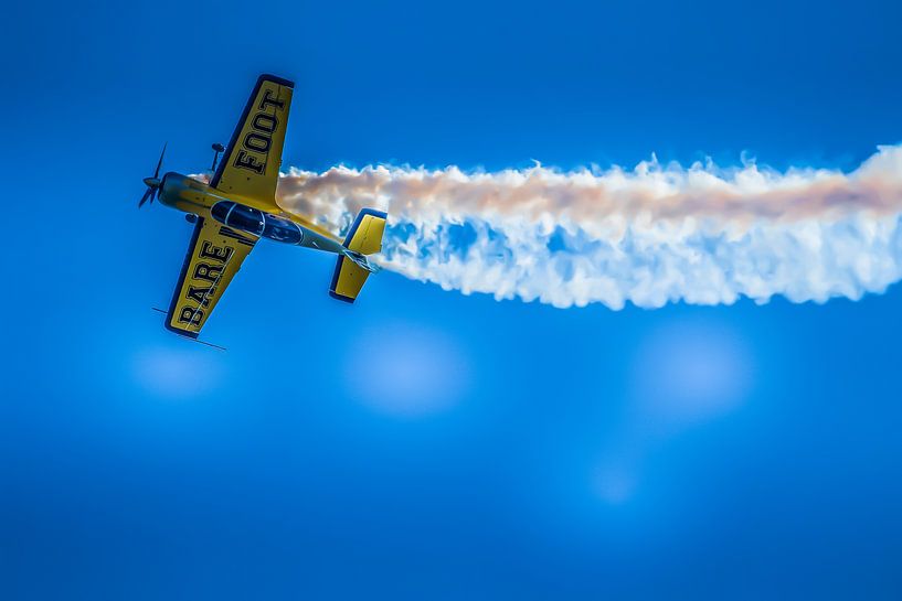 Sukhoi Su-29 van Raymond Engelen