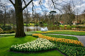 Beeld van bloeiende tulpen in de lente