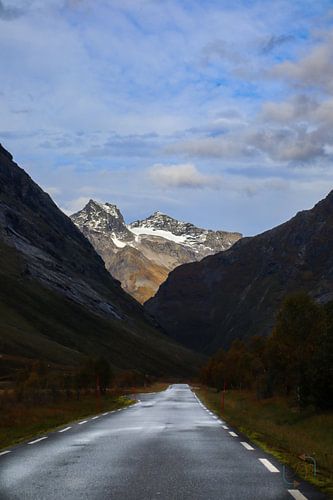 Die Straße hinunter von Jolisa Meints