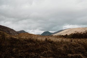 Schots landschap van sonja koning