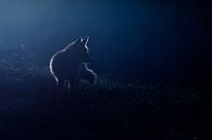 Jagen im Mondlicht von Pim Leijen Miniaturansicht