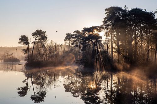 Zonneharpen bij zonsopkomst boven een meer