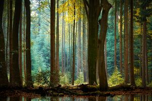 Der Herbst kommt