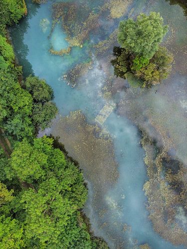 De stilte van het verzonken hout