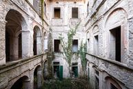 Verlassener Innenhof mit Pflanzen. von Roman Robroek – Fotos verlassener Gebäude Miniaturansicht