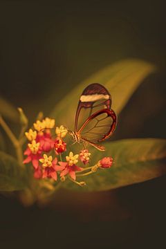 Vlinder op bloem. van Alie Ekkelenkamp
