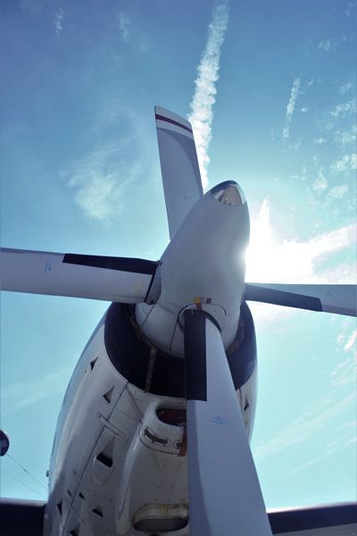 Vliegtuigpropellor von Jan van Tol