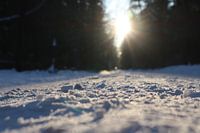 Besneeuwd pad in Epe