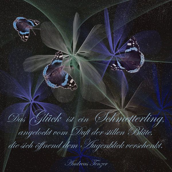 The happiness is a butterfly ....,  by Christine Nöhmeier