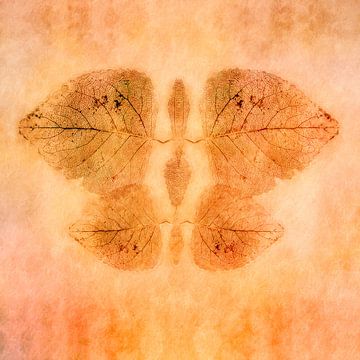 Bladreliëf vlinder van Marco van Antwerpen