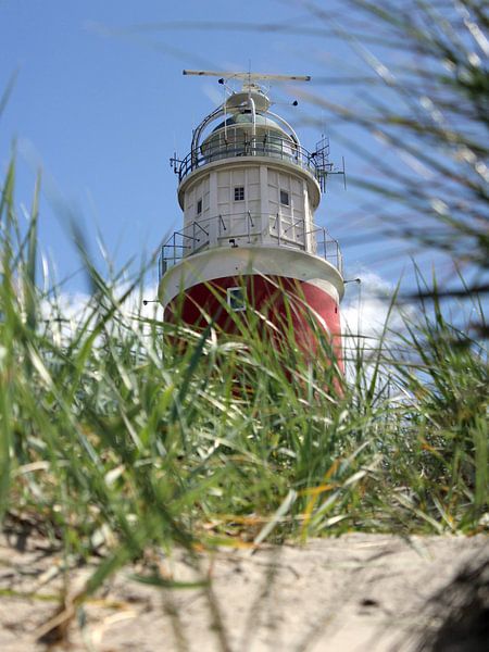 The Texel lighthouse, seen from the dunes by Studionien