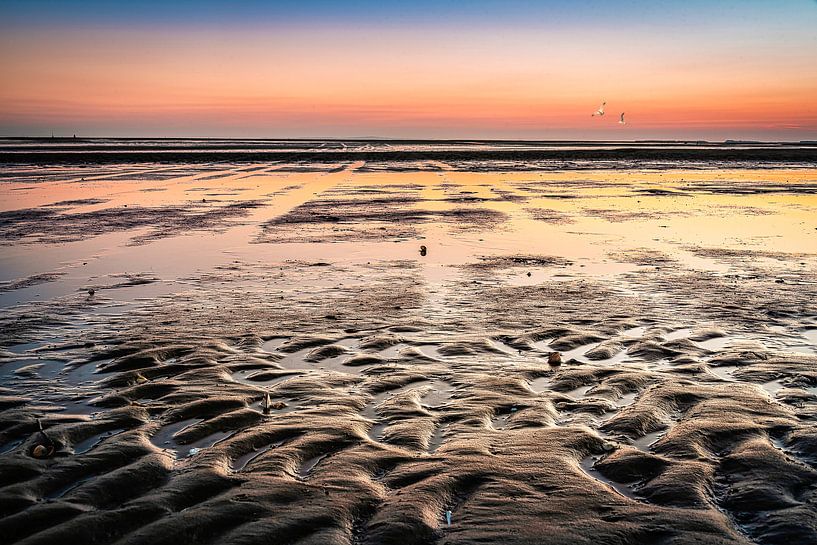 The Wad at evening on Terschelling, the Netherlands by Rietje Bulthuis
