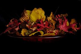 Inside Nature by Mario Creanza