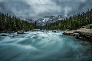 Mistaya Canyon Alberta Canada