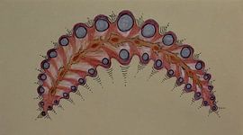 Leaf with vacuoles by Ilse Schoneveld