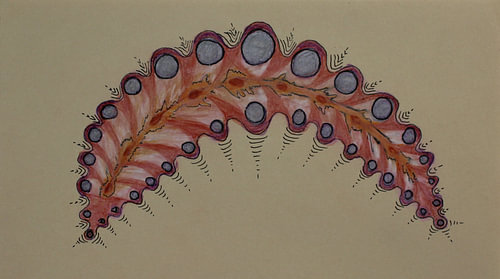 Leaf with vacuoles