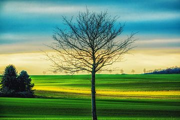 Landschaft mit Baum von Holger Debek
