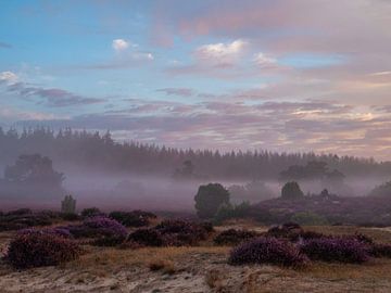 dunkle Natur von snippephotography