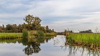 Weerriben-Wieden national park