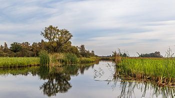 Nationalpark Weerriben-Wieden