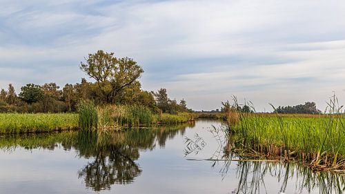 Parc national de Weerriben-Wieden