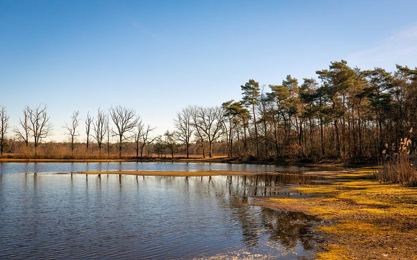 Small lake in a Dutch nature reserve by Ruud Morijn