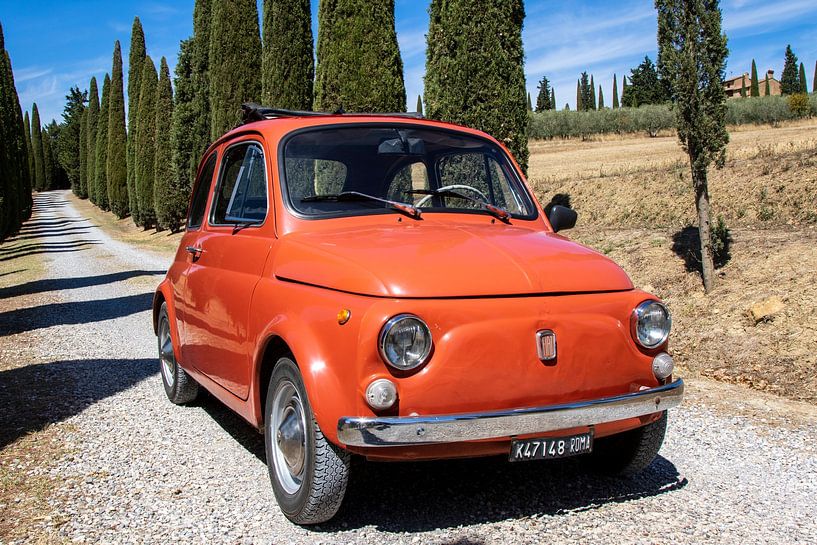 Fiat in cipressenlaan (6) van Jolanda van Eek en Ron de Jong