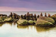 Buhnen an der Küste der Ostsee von Rico Ködder Miniaturansicht