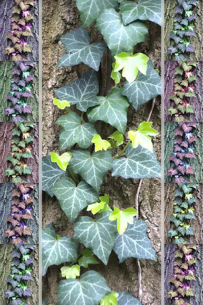 jung 2 van Edgar Schermaul