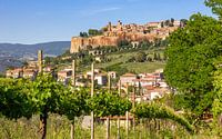 View of Orvieto, Italy by Adelheid Smitt thumbnail