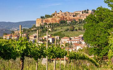 Zicht op Orvieto, Italië van Adelheid Smitt