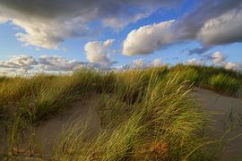 Dünen, Strand und Meer von Dirk van Egmond