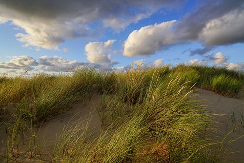 Dunes, plage et mer