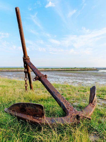 Verwitterter Anker im Hafen von Terschelling von Dan Photo Shaman