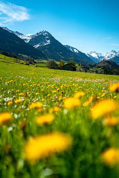 Picturesque view of the spring Allgäu and its mountains by Leo Schindzielorz