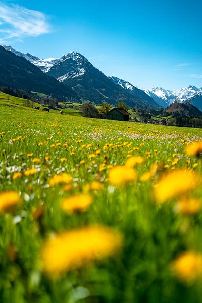 Schilderachtig uitzicht op de lente Allgäu en zijn bergen van Leo Schindzielorz
