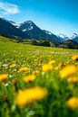 Schilderachtig uitzicht op de lente Allgäu en zijn bergen van Leo Schindzielorz thumbnail