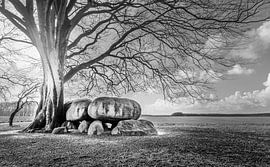 Hunebed in the spotlight by Xander Haenen