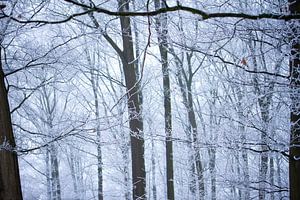 Winter in Nederland van Karijn | Fine art Natuur en Reis Fotografie