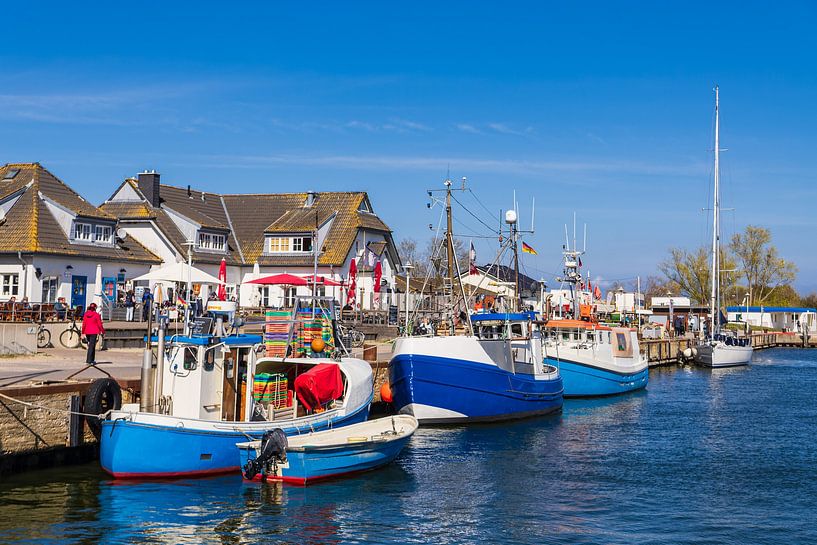 Fishing boats in the harbor of Vitte on the island of Hiddensee by Rico Ködder