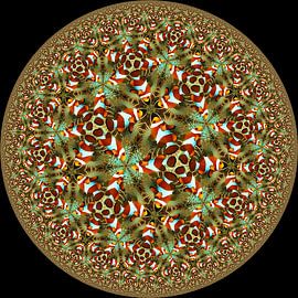 Clownfish by Tis Veugen