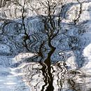 Boom spiegelend in water van Art by Fokje thumbnail