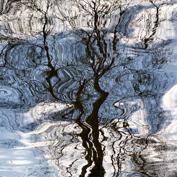 Boom spiegelend in water van Art by Fokje
