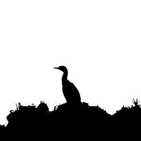 Silhouet van Aalscholver van Menno van Duijn